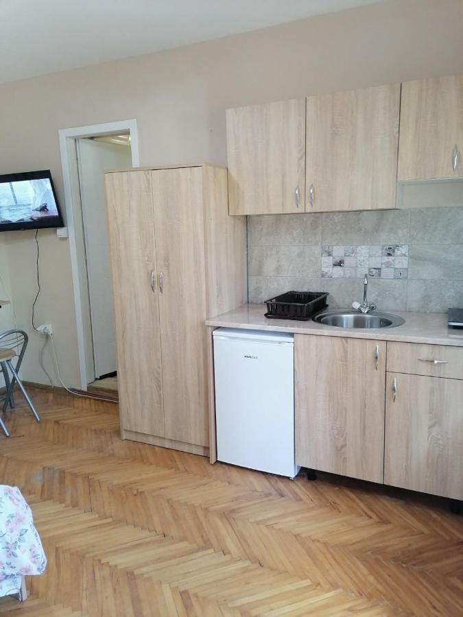 Apartmani Milosavljevic Soko Banja Cameră foto
