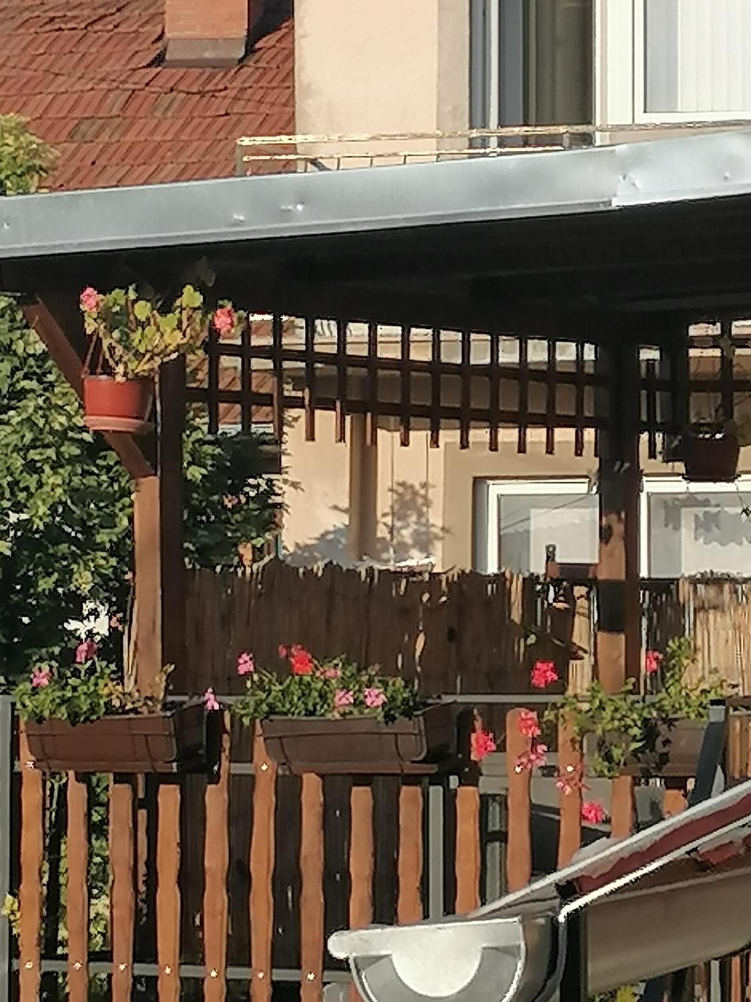 Apartmani Milosavljevic Soko Banja Cameră foto